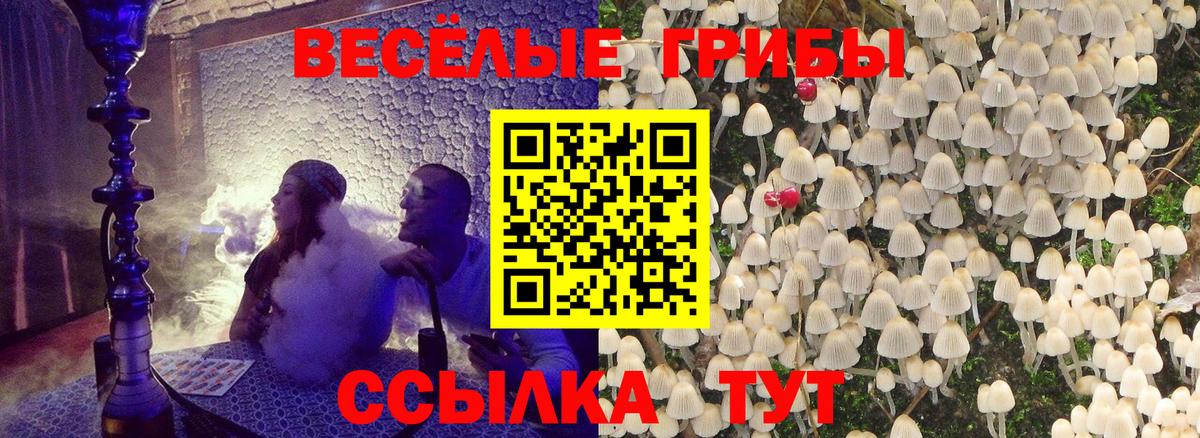 Псилоцибиновые грибы Psilocybine cubensis Лянтор