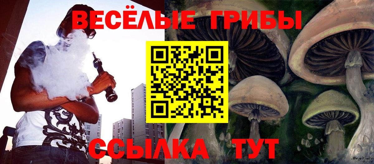 Лянтор  Псилоцибиновые грибы Cubensis  Вход с VPN 